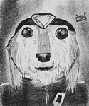 anthro clothed clothing cursed_image derp_eyes fur hat headgear headwear humor male solo wet wet_body wet_fur pinumontbalou epic_games fortnite wendell_(fortnite) canid canine canis mammal wolf absurd_res hi_res meme