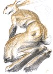 anthro biped crouching digitigrade long_ears looking_away low-angle_view male nude open_mouth short_tail simple_background solo tail atlchirico hare lagomorph leporid mammal rabbit 2018 hi_res pastel_(artwork) traditional_media_(artwork)