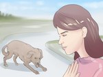 ambiguous_gender angry brown_body brown_fur duo female feral fur grass outside plant unknown_artist wikihow canid canine canis domestic_dog human mammal 2014 4:3 absurd_res hi_res