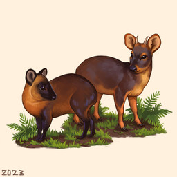 black_eyes black_nose brown_body brown_fur duo feral fern fur grass horn mud plant quadruped simple_background tan_body tan_fur white_background alexpahomov deer mammal new_world_deer northern_pudu pudu southern_pudu 1:1 2023 hi_res