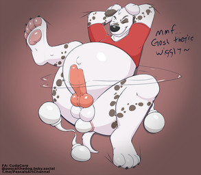 animal_genitalia animal_penis anthro anus balls belly belly_expansion belly_inflation big_belly bottomless canine_genitalia canine_penis clothed clothing erection expansion feet genitals giant_sperm inflation inside_stomach male navel outie_navel paws penis pregnant pregnant_male shirt toes topwear pascal_(artist) pascal_(cudacore) canid canine canis dalmatian domestic_dog mammal hi_res