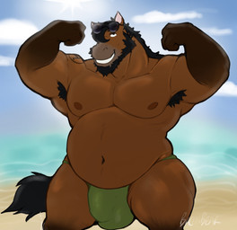 anthro armpit_hair beach beard belly big_bulge biped body_hair brown_body bulge clothing detailed_bulge eyewear facial_hair fur genital_outline glasses hair male male_anthro musclegut muscular muscular_male nipples outside overweight overweight_anthro overweight_male penis_outline sand sea seaside simple_background sky solo swimwear tail underwear water baconbearart oakley_(oakleythehorse) equid equine mammal absurd_res hi_res
