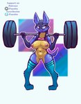 anthro belly breasts butt clothing female genitals gym legwear navel nipples pussy shirt smile solo stockings tail topwear foxette nintendo pokemon generation_4_pokemon humanoid lucario mammal pokemon_(species) hi_res