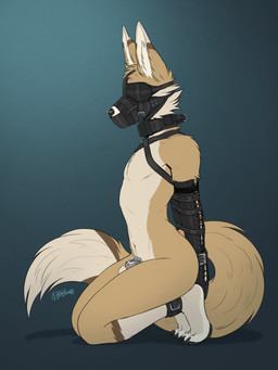 ankle_cuffs ankles_tied anthro arched_back armbinder balls bdsm binder_(restraint) blindfold blue_background bondage bondage_gear bound brown_body brown_fur chastity_cage chastity_device collar cuff_(restraint) cuffed_ankles cuffed_wrists dipstick_tail featureless_chest fluffy fluffy_tail fur gag gagged genitals gradient_background hands_behind_back kneeling leather leg_markings male male_anthro markings muzzle_(object) muzzle_gag muzzled navel nude_anthro nude_male restrained restrained_arms restraints side_view simple_background slim_anthro slim_male small_waist socks_(marking) solo submissive submissive_anthro submissive_male tail tail_markings tan_body tan_fur training wearing_chastity_cage wearing_chastity_device junkieboi akasch canid canine fennec_fox fox mammal true_fox hi_res