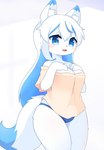 anthro big_breasts big_eyes black_nose black_outline blue_body blue_clothing blue_eyes blue_fur blue_hair blue_panties blue_underwear blush blush_lines breasts cheek_tuft claws cleavage clothed clothing dipstick_ears dipstick_tail ear_markings eyebrow_through_hair eyebrows facial_tuft female finger_claws fingers fur hair hand_on_breast happy inner_ear_fluff kemono looking_at_viewer markings multicolored_body multicolored_ears multicolored_fur multicolored_hair open_mouth open_smile outline panties pantsless pink_tongue pupils simple_background smile solo standing starry_eyes tail tail_markings tan_clothing tan_shirt tan_topwear thick_thighs three-quarter_view tongue topwear translucent translucent_hair tuft two_tone_body two_tone_fur two_tone_hair underwear white_background white_body white_fur white_hair wide_hips shirom canid canine fox mammal 2023 digital_media_(artwork) portrait shaded soft_shading three-quarter_portrait