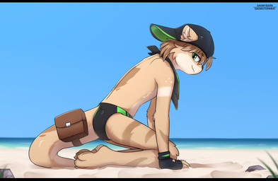 accessory anthro backwards_baseball_cap backwards_hat bag baseball_cap beach black_bars briefs clothed clothing detailed_background fingerless_gloves furgonomic_hat furgonomic_headwear furgonomics gloves green_eyes handwear hat headgear headwear kerchief kneeling looking_at_viewer male male_anthro neckerchief neckwear sand sea solo speedo swimwear tail tail_accessory tail_bag topless topless_anthro topless_male underwear water snowybark adrian_(snowstormbat) mammal mustelid otter hi_res letterbox