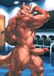 abs anthro athletic balls biceps big_muscles big_penis erection fur genitals humanoid_genitalia humanoid_penis male muscular muscular_anthro muscular_male notched_ear nude pecs penis pose pubes red_eyes smile solo teeth vein weights canyne_khai kawe canid canine canis domestic_dog german_shepherd herding_dog mammal pastoral_dog 2016