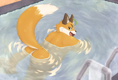 anthro bathing butt fur hot_spring male nude orange_body orange_fur overweight overweight_male partially_submerged solo swimming water shrimpcolor tamacolle iyo_(tamacolle) canid canine fox mammal hi_res