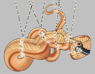 anthro apode armor bdsm bondage bound breasts christmas_decorations christmas_lights female hands_behind_back legless looking_at_viewer navel non-mammal_breasts nude red_eyes scales serpentine simple_background solo string_light_bondage string_lights ventral_scales yellow_body yellow_skin analpaladin x-com draconcopode naga reptile scalie snake viper_(x-com) 2018