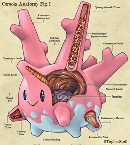 :> ambiguous_gender anatomy beady_eyes blue_eyes closed_smile countershading cross_section feral grey_body guts intestines mouth_closed multicolored_body organs paper_background pink_body side_view simple_background smile solo stomach tan_background text twitter_handle two_tone_body christopher_stoll nintendo pokemon pokenatomy corsola generation_2_pokemon pokemon_(species) biological_illustration digital_drawing_(artwork) digital_media_(artwork) english_text full-length_portrait hi_res portrait species_name technical_illustration