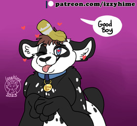 anthro bdsm black_body black_fur blush blush_lines brown_hair collar duo fur green_body hair headpat heart_eyes heart_symbol male markings multicolored_body multicolored_fur petplay petting puppyplay roleplay simple_background solo_focus speech_bubble spots spotted_body spotted_fur tail tail_motion tailwag text white_body white_fur izzyhime azure_(pupblueslut) torug_(pupblueslut) bear giant_panda mammal orc 2025 animated english_text