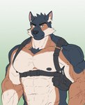 anthro barazoku biceps big_arms big_muscles big_pecs big_vein black_body black_fur black_nipples blue_eyes brown_body brown_fur chest_tuft fur harness harness_only male manly mostly_nude multicolored_body muscular muscular_male nipples pecs pouch_(clothing) solo tuft vein veiny_muscles white_body white_fur znone55 anothereidos_of_dragon_vein_r barlitz canid canine canis domestic_dog german_shepherd herding_dog mammal pastoral_dog hi_res