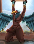 absurd_res anthro avian balls big_penis bird blindfold bound chain chained commanderthings erection genitals hasbro hi_res ibis leaking magic:_the_gathering male muscular muscular_male nadu nude pelecaniform penis restraints solo threskiornithid wings wizards_of_the_coast