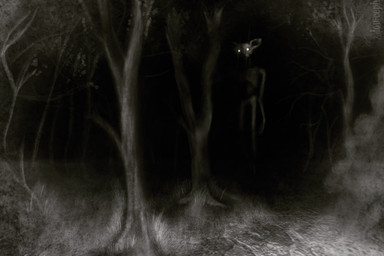 ambiguous_gender anthro biped creepy dirt forest glowing glowing_eyes grass hairless horror_(theme) leaf looking_at_viewer night plant solo standing text thin_arms thin_legs tree louceph domestic_cat felid feline felis hairless_cat mammal sphynx_(cat) 2018 artist_name digital_media_(artwork) digital_painting_(artwork) greyscale hi_res monochrome painting_(artwork) shaded
