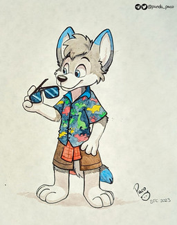 anthro black_nose blue_clothing blue_eyes blue_topwear bottomwear brown_bottomwear brown_clothing brown_shorts clothed clothing dipstick_ears ear_markings eyewear front_view fur glasses glistening glistening_eyes gloves_(marking) grey_body grey_fur grey_hair hair holding_eyewear holding_glasses holding_object leg_markings logo male markings mouth_closed multicolored_ears pattern_clothing pattern_topwear short_hair shorts simple_background socks_(marking) solo standing sunglasses topwear white_background white_body white_fur young young_anthro young_male pandapaco canid canine mammal 2023 artist_logo dated full-length_portrait hi_res portrait signature