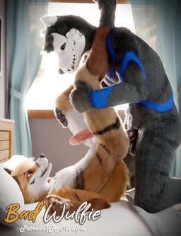 anal anal_penetration anthro anthro_on_anthro bed duo from_front_position furniture genitals long_legs male male/male penetration penile penile_penetration penis penis_in_ass pillow red_wulfie charlie_fisher_(skulldog) canid canine fox mammal skulldog_(species) 3d_(artwork) 3d_animation animated digital_media_(artwork) hi_res no_sound short_playtime video