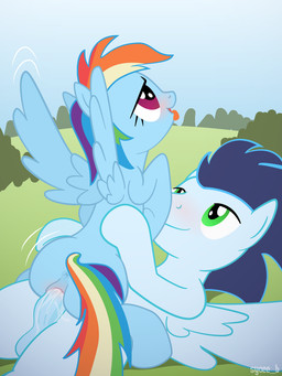 anus blue_body blue_feathers blue_fur blue_hair blush bodily_fluids butt cowgirl_position cum cum_in_vagina cum_inside duo erection feathered_wings feathers female female_on_top female_penetrated feral from_front_position fur genital_fluids genitals green_eyes hair intraspecies male male/female male_on_bottom male_penetrating male_penetrating_female multicolored_hair multicolored_tail on_bottom on_top open_mouth orgasm outside penetration penile penile_penetration penis penis_in_vagina purple_eyes rainbow_hair rainbow_tail sex smile straddling tail tongue tongue_out vaginal vaginal_fluids vaginal_penetration vulva wing_boner wings syoee_b friendship_is_magic hasbro my_little_pony mythology rainbow_dash_(mlp) soarin_(mlp) wonderbolts_(mlp) equid equine mammal mythological_creature mythological_equine pegasus 3:4 hi_res