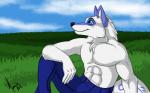 16:10 2011 amocin anthro canid canine canis clothed clothing cloud detailed_background digital_media_(artwork) draco_(piro-chan) fur grass male mammal meadow muscular muscular_anthro muscular_male outside plant sky smile solo topless white_body white_fur widescreen wolf