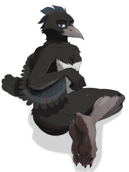 3_toes anthro beak belly black_body black_feathers feathers feet foot_fetish foot_focus male plantigrade soles solo toes white_belly mangoyena avian absurd_res hi_res