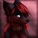 anthro black_body black_fur black_hair black_nose blue_eyes breasts collar female fur hair long_hair looking_at_viewer multicolored_hair nude red_body red_fur red_hair smile solo taykoe deoso_kyoto canid canine fox mammal 1:1 2014