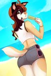 anthro beach breasts brown_eyes brown_hair butt butt_pose clothed clothing day detailed_background ear_piercing ear_ring female hair outside piercing pose ring_piercing seaside sky solo standing wolflady danika_(wolflady) canid canine canis domestic_dog mammal 2021 digital_media_(artwork)