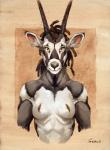 2020 antelope anthro bovid breasts female fur gemsbok grazing_antelope grey_body grey_fur horn looking_at_viewer mammal nipples nude oryx scale_(artist) solo traditional_media_(artwork) whiskers