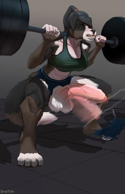 abs accident accidental_exposure anthro balls barbell barbell_squats big_breasts big_penis bodily_fluids bouncing_penis breasts clenched_teeth clothed clothing crouching cum cumshot ejaculation erection exercise exposed foreskin genital_fluids genitals gynomorph hands-free huge_penis humanoid_genitalia humanoid_penis intersex muscular muscular_anthro muscular_gynomorph muscular_intersex orgasm orgasm_from_workout partially_retracted_foreskin penis solo spontaneous_ejaculation squats teeth vein veiny_penis weightlifting workout shintori canid canine mammal hi_res