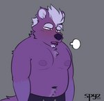 anthro beard belly biped blush bottomwear breath chest_tuft clothing eyebrows facial_hair fur hair half-closed_eyes inner_ear_fluff male moobs narrowed_eyes navel nipples panting pants purple_body purple_fur purple_tail simple_background slightly_chubby solo tail tuft unnatural_colors white_eyebrows white_hair spyz_(artist) kodi_(spyz) canid canine mammal 2021 digital_drawing_(artwork) digital_media_(artwork) flat_colors signature