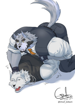 anthro arrested beard belt bodily_fluids bottomwear butt clothed clothing criminal duo eye_scar eyebrows facial_hair facial_scar fingerless_gloves fully_clothed fur gloves grey_body grey_fur handwear male male/male muscular muscular_anthro muscular_male necktie open_mouth pants pinned pinned_to_ground scar shirt simple_background smile sweat tail teeth text tongue topwear tough_guy white_background chief_gilbert heinrich_(chief_gilbert) canid canine canis mammal wolf 2023 absurd_res artist_name digital_media_(artwork) english_text hi_res signature
