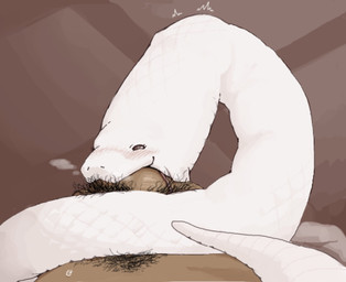 ambiguous_feral ambiguous_gender ambiguous_penetrated balls_deep bestiality blush blush_lines breath brown_background brown_eyes deep_penetration duo fellatio feral feral_penetrated front_view genitals human_on_feral human_penetrating human_penetrating_ambiguous human_penetrating_feral interspecies larger_human larger_male looking_at_viewer male male/ambiguous male_human male_penetrating male_penetrating_ambiguous neck_bulge oral oral_penetration penetration penile penile_penetration penis penis_in_mouth pubes scales serpentine sex simple_background size_difference smaller_ambiguous smaller_feral smaller_penetrated white_body white_scales angra human mammal reptile scalie snake 2025 digital_drawing_(artwork) digital_media_(artwork) hi_res shaded soft_shading