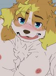 anthro biped blue_eyes blush bodily_fluids brown_body brown_fur brown_nose fur kemono male nipples simple_background solo sweat teeth white_body white_fur konbu lifewonders live_a_hero hisaki_(live_a_hero) canid canine canis domestic_dog mammal 2021 unavailable_at_source