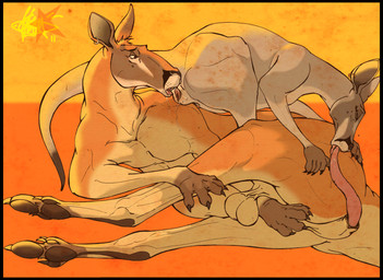 69_position anatomically_correct anatomically_correct_genitalia anatomically_correct_penis animal_genitalia animal_penis balls balls_above_penis black_border black_sheath_slit bodily_fluids border buckteeth cloaca cloacal dipstick_ears duo ear_markings ear_piercing ear_ring erection feet fellatio female female_penetrated feral fur genitals larger_male lying male male/female male_penetrating male_penetrating_female marsupial_penis multicolored_ears on_side open_mouth oral oral_penetration paws penetration penile penis piercing ring_piercing saggy_balls saliva saliva_on_cloaca saliva_on_penis saliva_string sex sheath_slit simple_background size_difference smaller_female tail tapering_penis teeth toes tongue tongue_out klaus_doberman grey_kangaroo kangaroo macropod mammal marsupial red_kangaroo digital_media_(artwork) hi_res
