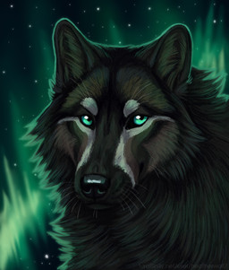 ambiguous_feral ambiguous_gender aurora_(phenomenon) black_body black_fur black_nose brown_markings cheek_tuft facial_tuft feral fur glistening glistening_nose markings mouth_closed neck_tuft sky solo star teal_eyes tuft whiskers white_markings heatherwolf hiona canid canine canis mammal wolf