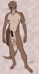 animal_genitalia anthro balls black_penis bottomwear clothed clothing crotch_apron erection genitals jewelry loincloth looking_at_viewer male markings mostly_nude nipples penis sheath simple_background smile solo topless tribal tribal_markings weapon negativetheory ket_lesh mammal mustelid otter digital_media_(artwork) full-length_portrait hi_res portrait