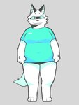 anthro breasts clothed clothing female female_anthro fur looking_at_viewer shirt simple_background smile solo t-shirt tail topwear labirhin kontol canid canine fox mammal 3:4 digital_media_(artwork) full-length_portrait hi_res portrait