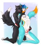 2_tails anthro asphyxiation black_body black_fur blue_eyes blue_hair choking dog_tags duo fur genitals hair hands_behind_back kneeling male male/male moan multi_tail multicolored_body multicolored_fur nipple_piercing nipples penis piercing pink_penis reach_around red_eyes smile smirk tail yokokato falcon_woodwere arctic_wolf canid canine canis dire_wolf mammal prehistoric_species wolf hi_res