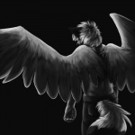 ambiguous_gender anthro feathered_wings feathers simple_background solo wings raphial runicnature canid canine canis mammal wolf 1:1 hi_res monochrome