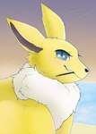 ambiguous_gender blue_eyes eyelashes fluffy pokies sea shooting_star smile smiling_at_viewer solo sunset water parooty nintendo pokemon canid canine eeveelution generation_1_pokemon jolteon mammal pokemon_(species) absurd_res hi_res