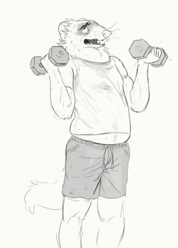 anthro belly bodily_fluids bottomwear clothing exercise holding_object holding_weights male open_mouth shirt shorts slightly_chubby slightly_chubby_anthro slightly_chubby_male solo standing sweat topwear weightlifting workout cettus cettus_chaput domestic_ferret mammal mustelid musteline true_musteline weasel 2019 sketch