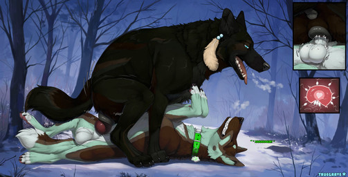 animal_genitalia animal_penis animal_vulva anus balls breath butt canine_genitalia canine_penis canine_vulva claws clenched_teeth cowgirl_position duo erection eyes_closed female female_feral female_on_top female_penetrated feral feral_on_feral feral_penetrated feral_penetrating feral_penetrating_feral from_front_position fur genitals heart_symbol impregnation knot knotted_penis knotting looking_pleasured lying male male/female male_feral male_penetrating male_penetrating_female on_back on_bottom on_top open_mouth orgasm_face outside ovum ovum_with_heart penetration penile penile_penetration penis penis_in_vagina sex sheath sperm_cell tail teeth text tongue tongue_out vaginal vaginal_knotting vaginal_penetration vulva truegrave9 sheppermint canid canine canis domestic_dog mammal wolf 2025 digital_drawing_(artwork) digital_media_(artwork) english_text hi_res