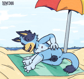 animal_genitalia animal_vulva anthro anthrofied anus beach beach_towel beach_umbrella butt canine_genitalia canine_vulva exhibitionism feet female flat_chested genitals looking_at_viewer looking_back lying nipples nude outdoor_nudity outside parasol presenting presenting_hindquarters presenting_vulva public public_exposure public_nudity smile smiling_at_viewer soles solo spread_butt spread_vulva spreading toes towel vulva young young_anthro young_female dovedog bluey_(series) bluey_heeler australian_cattle_dog canid canine canis cattledog domestic_dog herding_dog mammal pastoral_dog