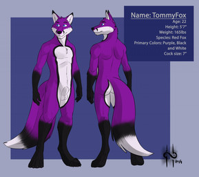 animal_genitalia anthro balls black_body black_fur black_nose blue_eyes cheek_tuft dipstick_tail facial_tuft front_view fur genitals gloves_(marking) head_tuft leg_markings looking_aside male male_anthro markings mouth_closed nude purple_body purple_fur rear_view sheath simple_background socks_(marking) solo standing tail tail_markings tuft white_balls white_body white_fur white_sheath hufnaar canid canine fox mammal 2014 dated model_sheet