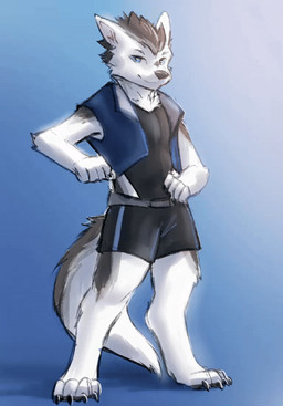 4_toes anthro barefoot black_clothing black_hair blue_background blue_clothing blue_eyes blue_jacket blue_topwear bottomwear claws clothing digitigrade feet finger_claws fur gradient_background hair hand_on_hip jacket looking_at_viewer male paws shorts simple_background solo standing toe_claws toes topwear white_body white_fur stampmats canid canine canis mammal wolf animated