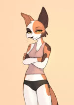 anthro blinking brown_body brown_fur clothed clothing countershade_legs countershade_torso countershading crossed_arms female fully_clothed fur looking_at_viewer midriff navel orange_body orange_fur shirt simple_background solo tank_top topwear whiskers white_body white_fur yshanii stray_(kiwinyx) domestic_cat felid feline felis mammal 2024 animated digital_media_(artwork) no_sound short_playtime webm