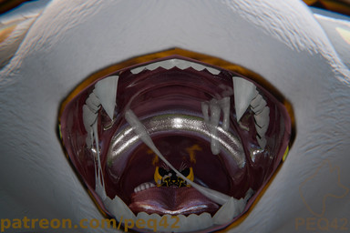 anthro bodily_fluids cum cum_in_mouth cum_inside duo feet_first genital_fluids imminent_vore macro male micro open_mouth oral_vore questionable_consent size_difference teeth tongue vore peq42 mr.foxboys peq_(peq42) mayu_(azuki) 3d_(artwork) digital_media_(artwork)
