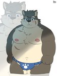 anthro asian_clothing belly blue_eyes blush brown_body brown_fur bulge canid canine canis clothing domestic_dog east_asian_clothing eyebrows fundoshi fur hi_res japanese_clothing lifewonders male mammal moritaka_(tas) musclegut muscular navel nipples pecs pomo_oto scar solo thick_eyebrows tokyo_afterschool_summoners underwear