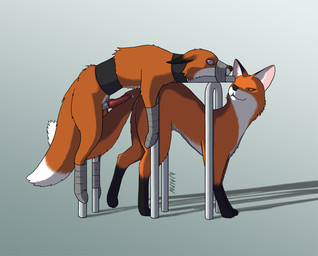 all_fours animal_genitalia animal_penis bdsm big_tail blue_eyes bodily_fluids bondage bound breeding_stand canine_genitalia canine_penis dominant dominant_female duo ears_down erection female female_raping_male feral feral_on_feral forced forced_orgasm fully_bound fur gag gagged genital_fluids genitals knot looking_back male male/female muzzle_(object) muzzled nude orange_body orange_fur orgasm penis pivoted_ears precum secretly_loves_it simple_background submissive submissive_male tail tape tape_gag tape_muzzle teasing white_body white_fur yellow_eyes raevild canid canine fox mammal story story_in_description