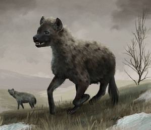 black_eyes black_nose dead_tree duo feral fur grass grey_body grey_fur markings plant quadruped running sharp_teeth short_fur snow solo_focus spots spotted_body spotted_fur teeth tree tundra mihin89 cave_hyena hyena mammal prehistoric_species spotted_hyena 2018