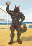 ankh anthro balls bandanna beach black_body black_fur canid canine canis clothing footwear fur genitals hi_res humanoid_genitalia humanoid_penis kerchief looking_at_viewer lupine_assassin male mammal muscular penis sandals sea seaside solo sport thaz_(artist) volleyball water wolf