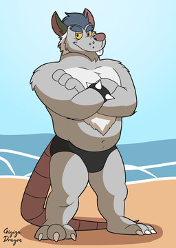 3_toes anthro beach black_clothing black_speedo black_swimwear clothing feet fur grey_body grey_fur hair looking_at_viewer male musclegut muscular navel outside slightly_chubby smile smiling_at_viewer solo speedo standing swimwear toes gigizadragon brok_the_investigator cowcat_games squealers_chief mammal murid murine rat rodent 2025 hi_res